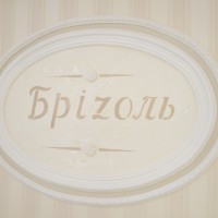 brizol24